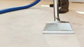 Carpet cleaning wand head gliding over a light carpet during hot-water extraction, Glendale, AZ.