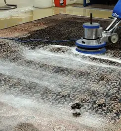 Professional rug cleaning with a rotary floor machine and shampoo foam, deep-cleaning an area rug Glendale, AZ.